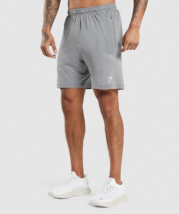 Szorty Męskie Gymshark Vital Light Szare | PL 3498WNB